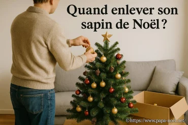 Quand enlever son sapin de Noël : quel est le bon moment ?