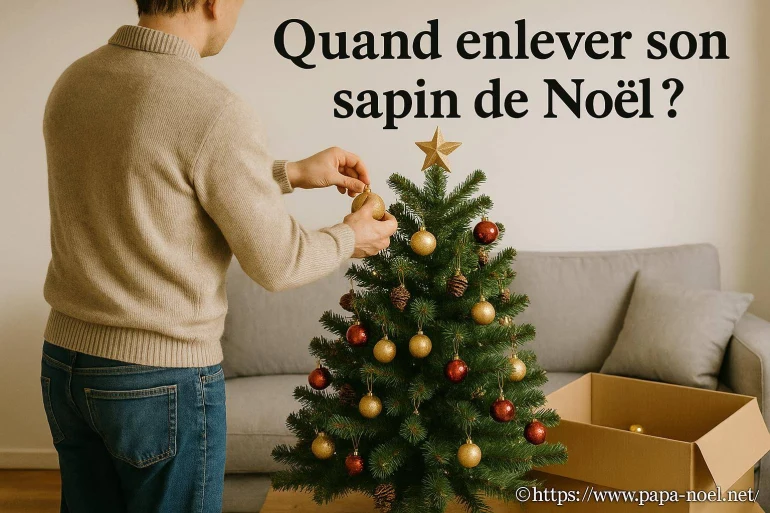 Quand enlever son sapin de Noël : quel est le bon moment ?
