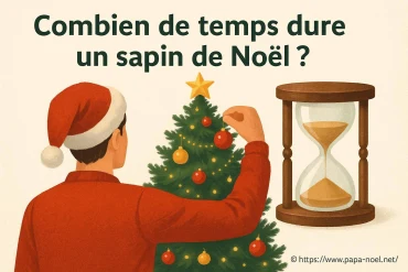 Combien de temps dure un sapin de Noël naturel et artificiel ?