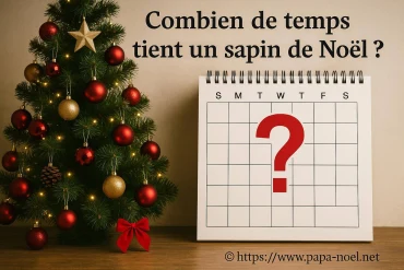 Combien de temps tient un sapin de Noël ?