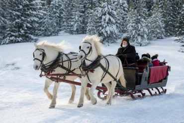 Vive le vent : paroles et histoire de la chanson de Noël