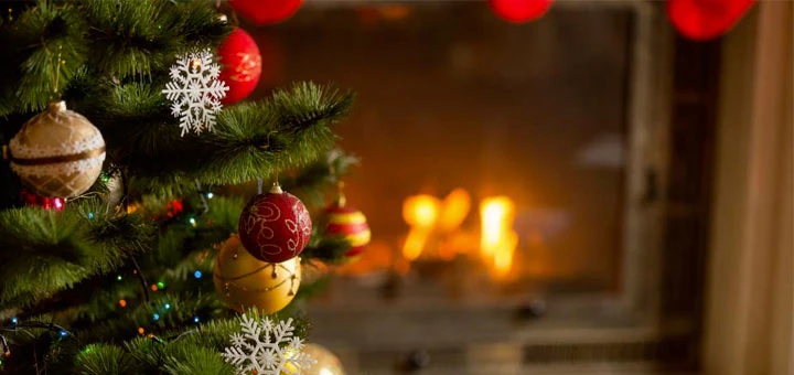 Apprenez à choisir votre sapin de Noël en fonction de son espèce et de sa taille