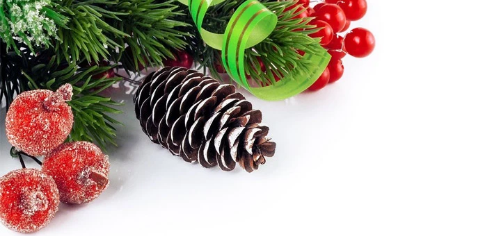 Quelles sont les décos de Noël incontournables ?