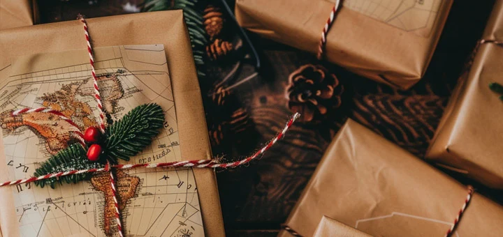 Innovez Sous le Sapin : Transformez Noël avec des Cadeaux Qui Vivent