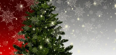 Comment choisir son sapin de Noël ?