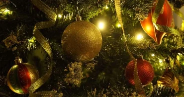 Histoire du Sapin de Noël