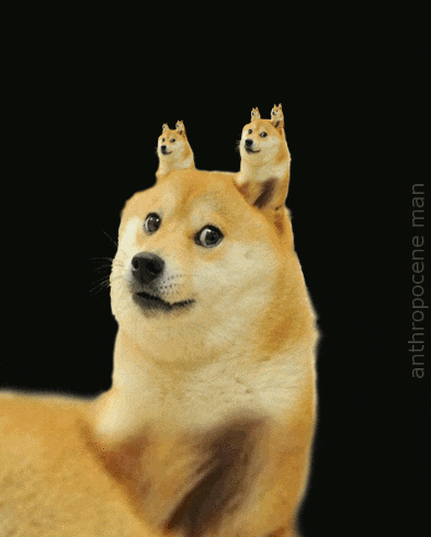 Gif animé