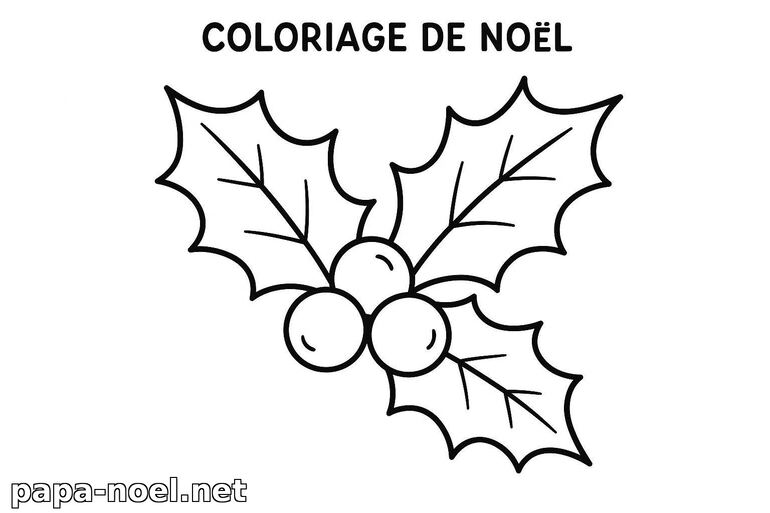 Coloriage de houx de Noël