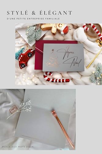 Joli Coon 10 Cartes Noel élégantes avec enveloppe et sceau e