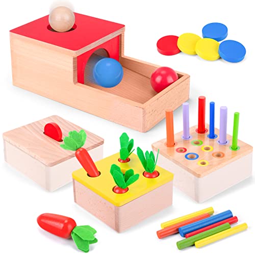 LZDMY Jeu Montessori 1 an, Jouet Montessori Object Boîte Per