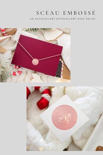 Joli Coon 10 Cartes Noel élégantes avec enveloppe et sceau e