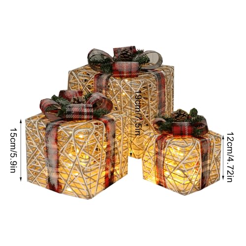 BFYDOAA Coffrets Cadeaux de Noël Ensemble de 3 Boîtes Cadeau