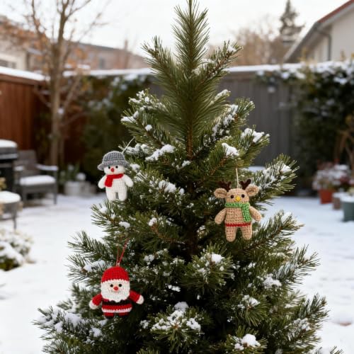 CHAOHAOKE Kit de crochet de Noël à faire soi-même - Pour déb