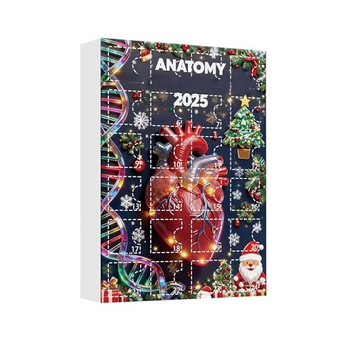 Calendrier De L Avent 2025 2D 2025 Figurines dAnatomie
