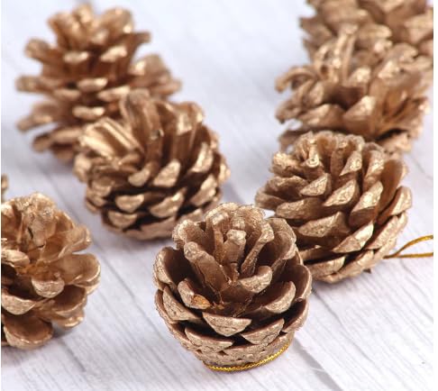 TenaLucy 36 Pièces Pomme de Pin, 3-4cm Pomme de Pin Decorati