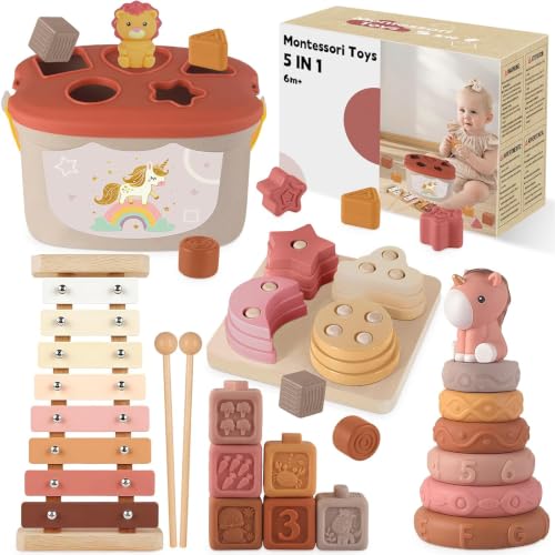 Anook 5 en 1 Jouet Bebe 6 Mois, Jouet Montessori Bebe 6-12 M